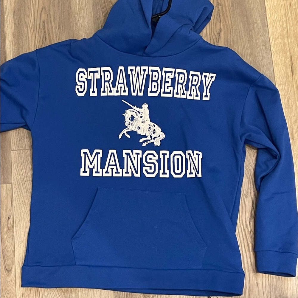 Strawberry mansion bape supreme Jordan Nike dunk